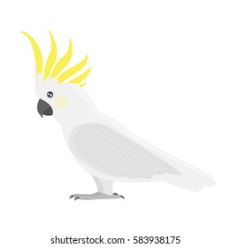 Cartoon tropical cockatoo parrot wild animal bird vector illustration.