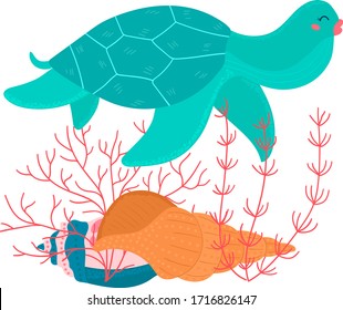 Cartoon tropical color turtle animal swims above seashell and seaweed underwater isolated on white, vector, illustration. design ocean or marine wildlife. Funny scene under the sea, undersea fauna of