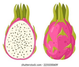 Cartoon tropical dragon fruit. Summer fresh red fruits, whole fruit and half flat vector illustration on white background