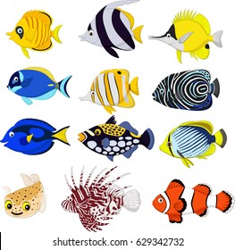 Cartoon tropical fish collection set