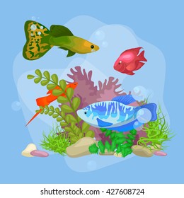 cartoon tropical fish swimming in nature undersea diving, home aquarium colorful decoration underwater element reef and coral vector illustration.Sea and blue ocean background