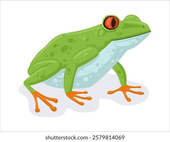 Cartoon tropical frog. Exotic rainforest amphibian animal, green exotic frog flat vector illustration. Cute frog on white background