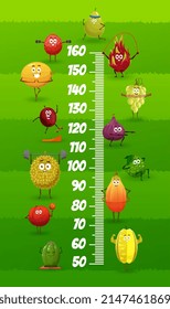 Cartoon tropical fruits on fitness, kids height chart vector growth meter. Baby measure scale with papaya, feijoa and grape, bergamot, pithaya and fig with dumbbell in gym, pear, starfruit and durian