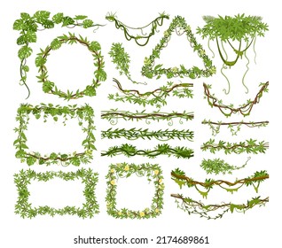 Cartoon tropical liana plants, climbing creepers branches. Jungle hanging liana wild plants, green foliage lianas frames vector illustration set. Rainforest liana collection