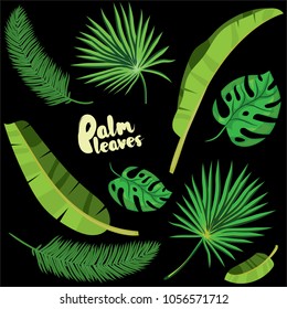Cartoon tropical palm leaves set. Vector illustrated on black background.  Flat vector hand drawn palm tree elements. Tropical green forest design.