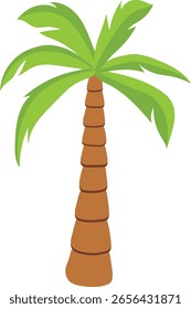 Cartoon palmeira tropical. Ilustração de vetor em fundo branco.