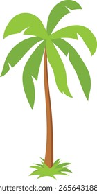 Palmera tropical de dibujos animados. Ilustración vectorial sobre fondo blanco.