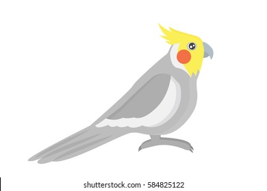 Cartoon tropical parrot wild animal bird vector illustration.