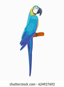 Cartoon tropical parrot wild animal bird vector illustration wildlife feather zoo color nature vivid.