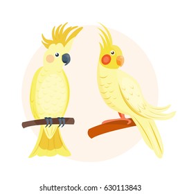 Cartoon tropical yellow parrot wild animal bird vector illustration wildlife feather zoo color nature vivid.