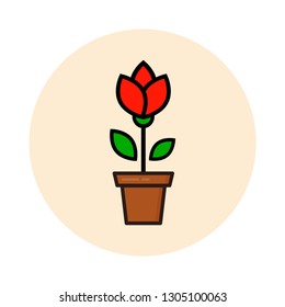 cartoon tulip vector in a pot icon