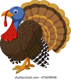 Cartoon turkey character