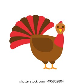 cartoon turkey in flat style on white background