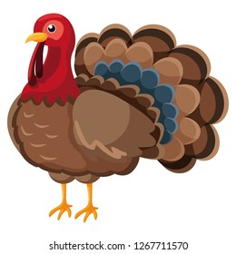 cartoon turkey icon