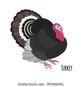 Cartoon turkey isolated on white background