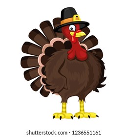 Cartoon turkey on white background for thanksgiving day.