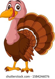 Cartoon turkey on white background