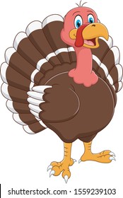 Cartoon turkey standing on white background