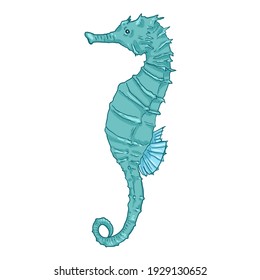 Cartoon Turquoise Seahorse Vector Illustration