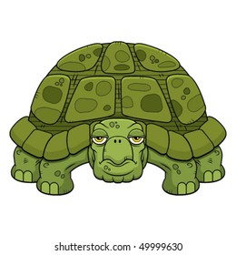 Cartoon Turtle