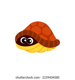 Cartoon Turtle Afraid To Come Out Of Shell Isolated Cute Character Personage Creature. Vector Cute Hiding Tortoise With Scared Eyes, Funny Little Underwater Animal, Aquatic And Terrestrial Reptilian