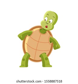 Scared Turtle Stock Illustrations, Images & Vectors | Shutterstock