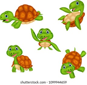 Cartoon turtle collection set