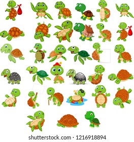 Cartoon Turtle Collection Set