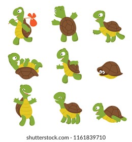 Cartoon Turtle. Cute Tortoise Wild Animal Vector Characters Isolated. Turtle Wildlife, Terrapin Wild And Slow Illustration