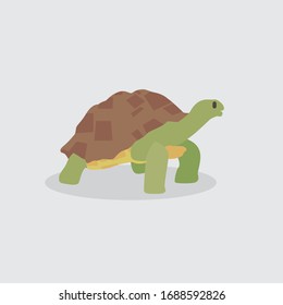 Cartoon turtle. Cute Cartoon turtle, Vector illustration on a white background. Drawing for children.