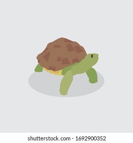 Cartoon turtle. Cute Cartoon turtle, Vector illustration on a white background. Drawing for children.