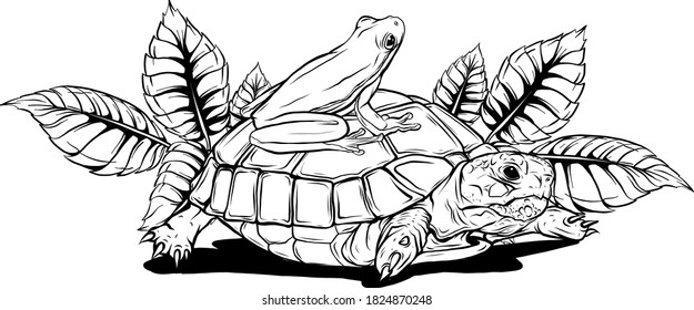 cartoon turtle and frog vector illustration art