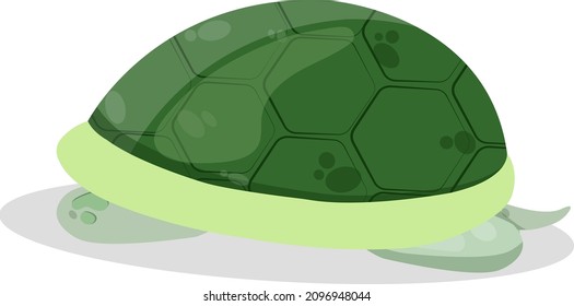 Cartoon Turtle Hiding Head Shell Stock Vector (Royalty Free) 2096948044 ...