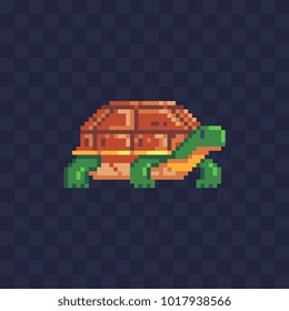 Cartoon turtle icon pixel art flat style isolated vector illustration.  Element design for stickers, logo, embroidery, mobile app.