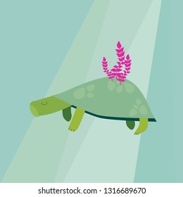 Cartoon turtle illustration