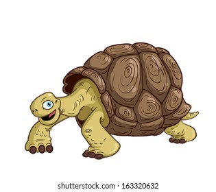 Cartoon Turtle Isolated on White Background