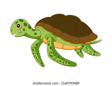 Cartoon turtle isolated on white background