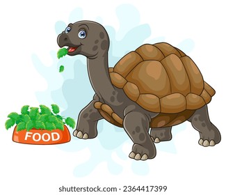 Cartoon turtle isolated on white background