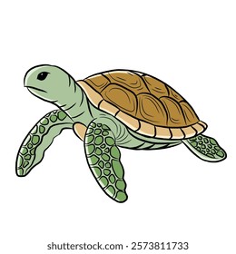 cartoon turtle isolated on white background. reptile animals