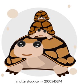 Cartoon turtle mother and child Animal Wildlife Vector Illustration