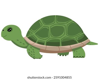 Cartoon Turtle on Hawaii Beach Vector Design