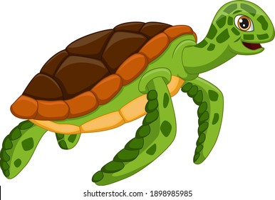 Cartoon turtle on white background