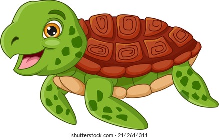 Cartoon turtle on white background