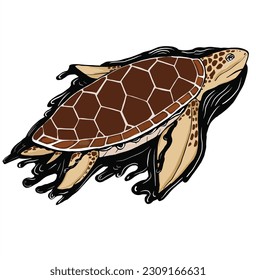 cartoon turtle set, turtle vector