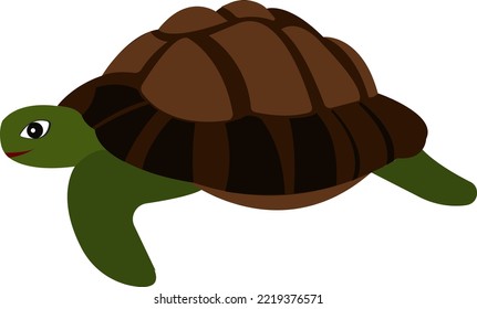Cartoon turtle. Turtle with a shell. Wild animal. Vector illustration.