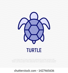 Icono de la línea delgada de la tortuga de caricatura. Ilustración vectorial moderna para logotipo con reptil.