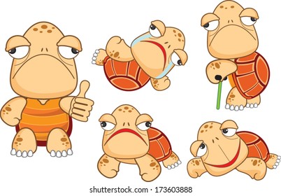 Cartoon Turtle and Tortoise