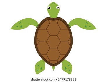 Cartoon Turtle Vector Flat Design Isolated on White Background