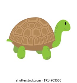 Cartoon turtle. Vector illustration isolated on white background.
