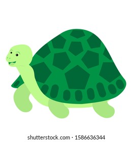 Cartoon turtle. Vector illustration on a white background. Drawing for children.